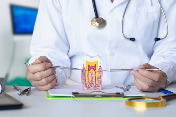 Best Tooth Pain Emergency Relief  in Wamac, IN